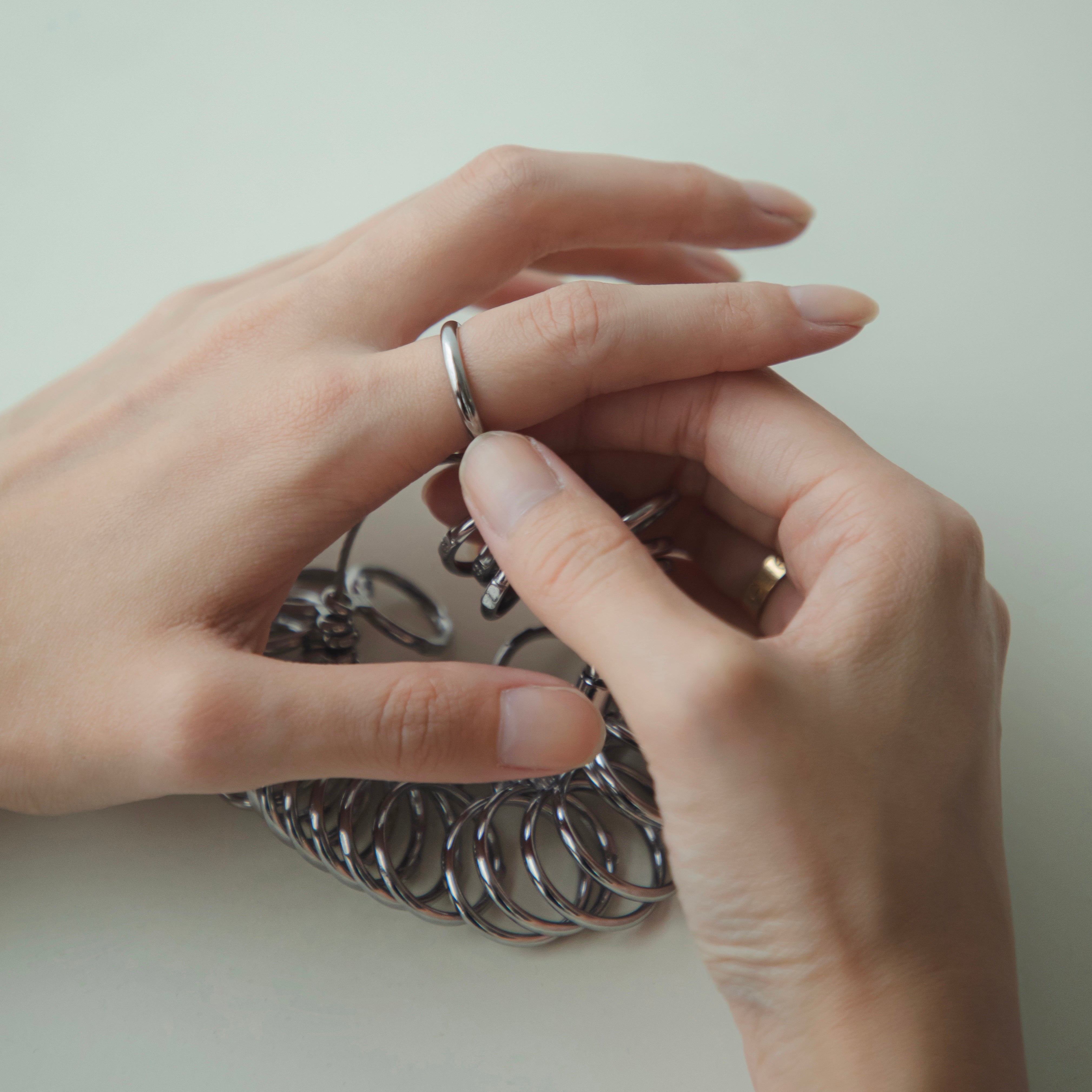 Ring gauge rental (¥550 coupon included)