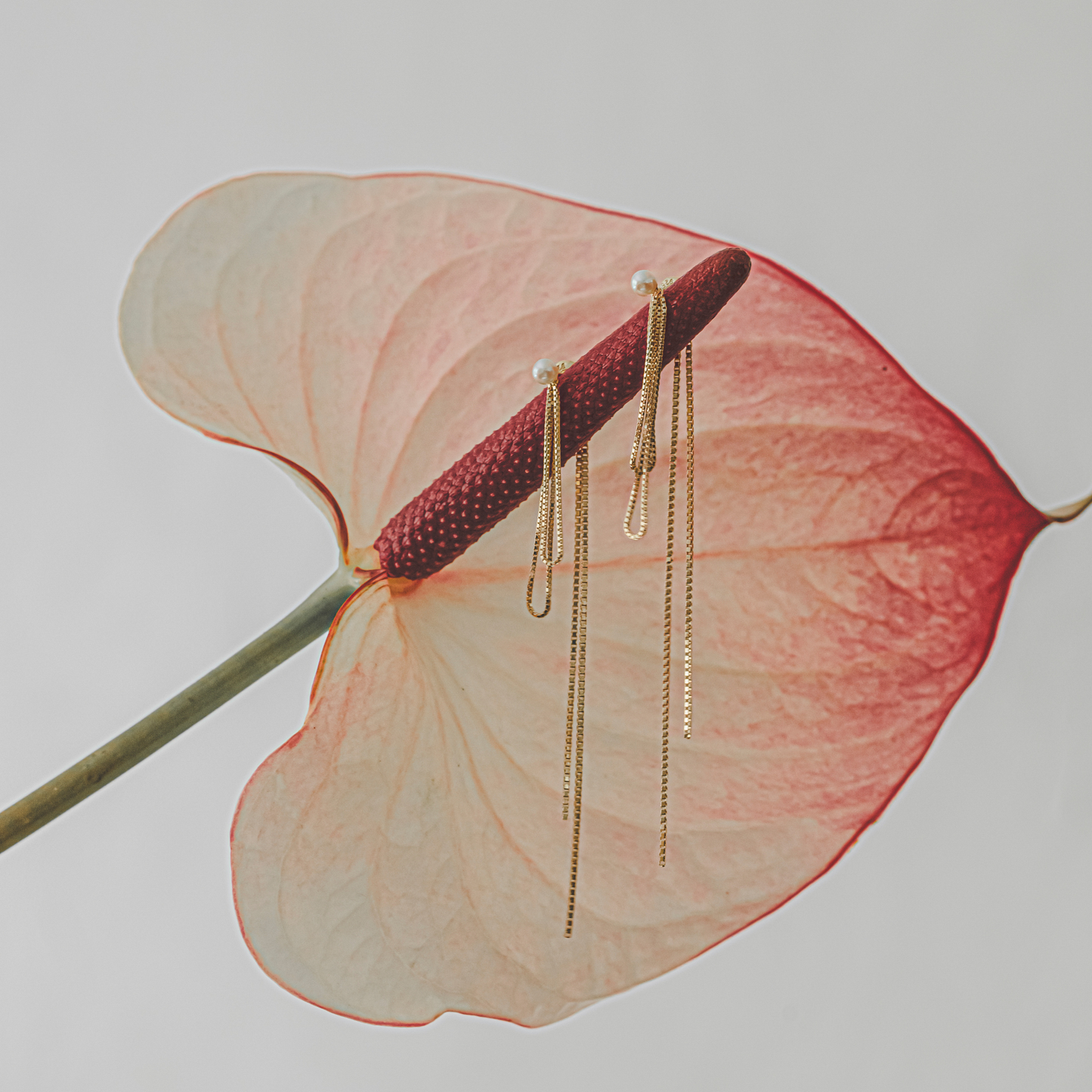 【link】リボンチェーンピアス gold